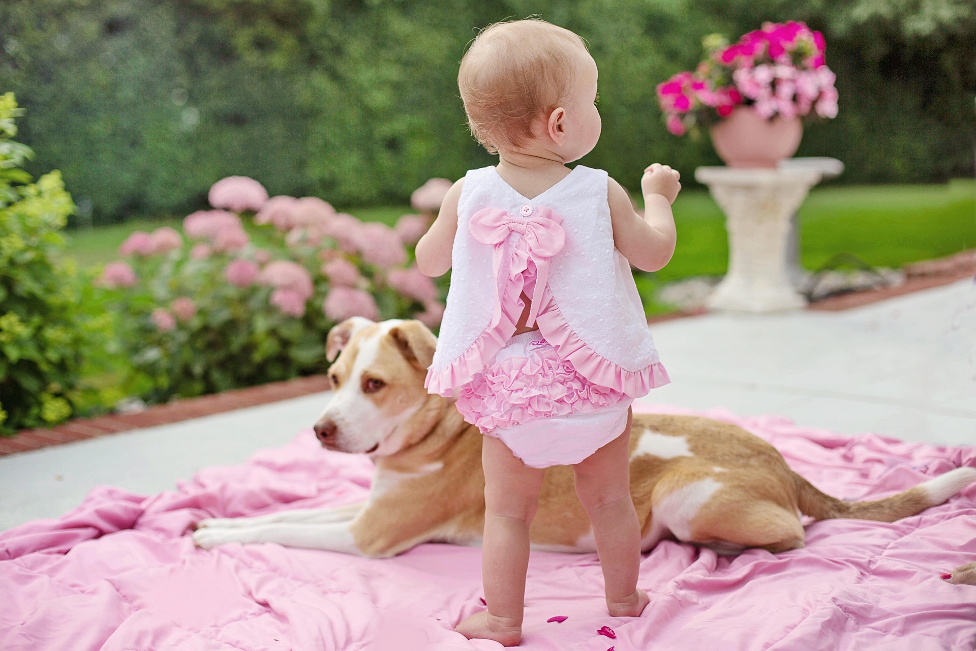 baby-with-dog-7388048_1920.jpg